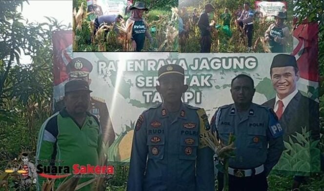 
					Kapolres Pasuruan Dukung Ketahanan Pangan, Apresiasi Panen Raya Jagung di Winongan